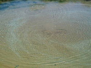 The Bubbler - Mound Springs